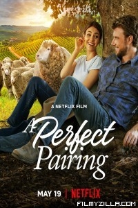 A Perfect Pairing (2022) Hindi Dubbed