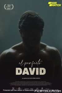 El perfecto David (2021) Hindi Dubbed