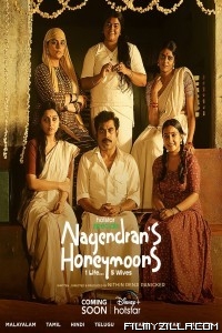 Nagendrans Honeymoons (2024) Season 1 Hindi Web Series