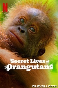 Secret Lives of Orangutans (2024) Hindi Dubbed