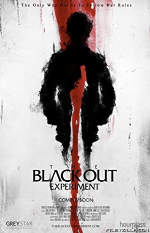 The Blackout Experiment (2021) Hindi Dubbed