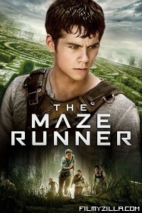 The Maze Runner (2014) Hindi Dubbedd