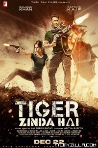 Tiger Zinda Hai (2017) Hindi Movie